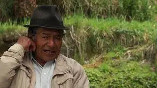 LA LUCHA POR EL TERRITORIO - LOS INICIOS