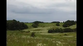 КУПАЛЛЕ з ГУРТАМ 