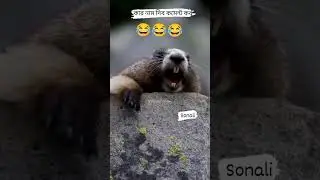 sonali ra।।😂😂।।#shortsyoutube #bindasssonali #viral #trending