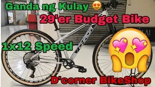 Ang angas ng Frame, Budget Built Bike 29&rsquo;er Chada Alvin/ D&rsquo;corner BikeShop/The Bike Specialist