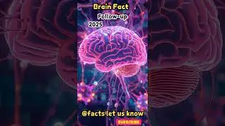 Brain fact #youtubeshorts #ytshorts #shorts #trending #viral #microplastics #found #human #brain #yt