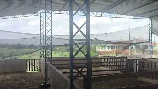 A sheep pen made of packed earth for raising sheep.