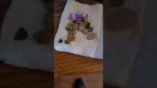 New rock tumbler!