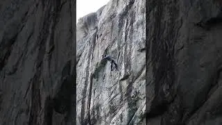 Project Grizzly 8a