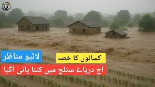 Satluj River News Today | Flood Update 19 August 2025 | Punjab Flood Ground Reality