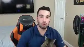 Twitch Streamers Cat Attacks Him