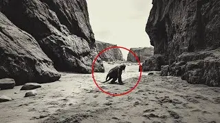 Ausgestorbene Tiere, die vielleicht noch leben...kein Bl&ouml;dsinn