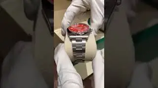 Rolex Oyster Perpetual Stainless Steel 41mm Red dial Watch
