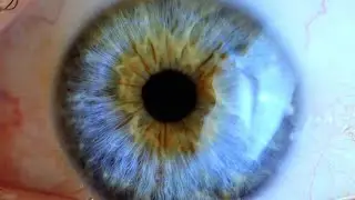 Seeing beyond the obvious with high performance imaging technologies