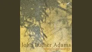 Songbirdsongs: V. Mourning Dove