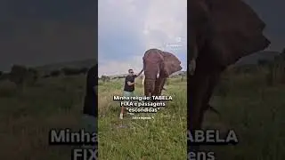 Minha religi&atilde;o &eacute; Tabela Fixa e Passagens 