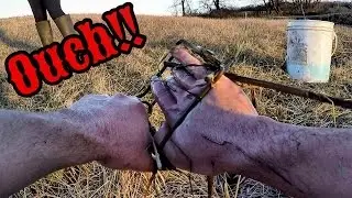 HAND CAUGHT IN A MUSKRAT TRAP!