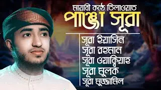 শবে বরাতের লাইভ🔴পাঞ্জে সূরা ইয়াসিন আর রহমান ওয়াকিয়া মুলক মুজাম্মিল ক্বারী আবু রায়হান Abu Rayhan