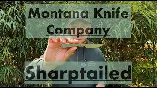 Montana Knife Company Sharptailed - First Look