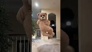 The bear is back from hibernation🐻 #funny #dance #viral #shorts #bearsuit #mattmoseley