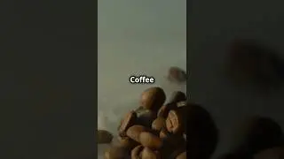 The Chemistry of Coffee