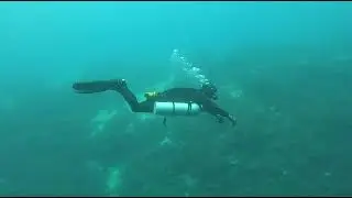 How to frog kick