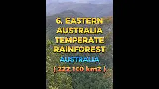 TOP 10 LARGEST FORESTS ON EARTH | KNOWLEDGE HUB | #youtube #youtubeshorts #ytshort