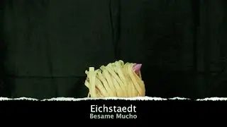 Eichstaedt - Besame Mucho Instrumental guitar version