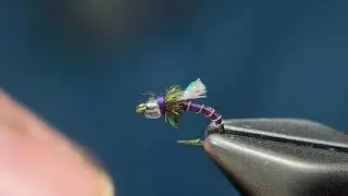 Manhattan Midge 4K