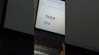 Tiger🐅 in Ms word #shorttrick#techtricks #computertricks #computer#tech#pctips #tricks#laptop#tiger