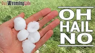Hail Storm Destroys Hay and Changes the Ranch Plan