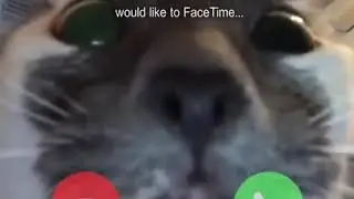 Video llamada mp3