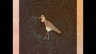 Marcos Meza & Paulo Sapiain - Four Rituals (Full Album)