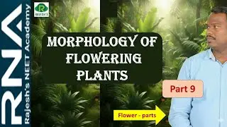 Morphology of flowering plants / Part 9 / Flower 2 / Rajesh NEET Academy (RNA) - Pallikonda -Vellore