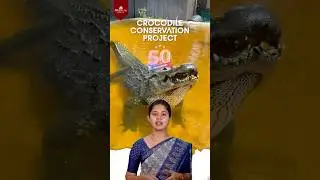 ARAM'S DO YOU KNOW SERIES - crocodile conservation project