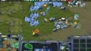 Pusan v FirebatHero (P4 of 5) Pimpest Play Sky Proleague
