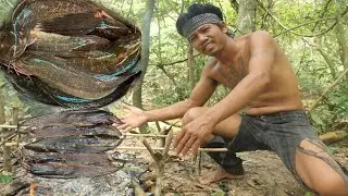 Bushman Skills | Fishing Walking-Catfish with Scarf | Primitive Tech