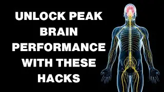Unlock Peak Brain Performance with These Hacks