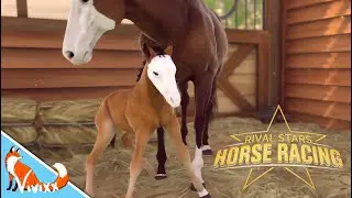 RIVAL STARS EP 3 - Free Ride Area? SO COOL!