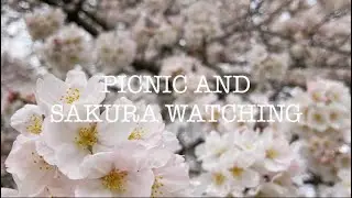 Picnic and Sakura Watching in Kinuta Park Tokyo | Spring is Finally Here!