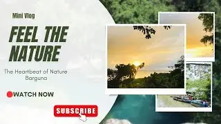 Sunset Sky Timelapse 🌇 | Beautiful Evening Glow | Relaxing Nature Video | Digital Life by Alamin