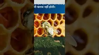 #nature#save#farmers#hardwork#earth#plants#animals#saveearth#saveus#savewater 🙏