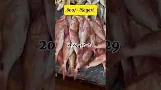 Peliyagoda central fish market fish prices 2024-12-29