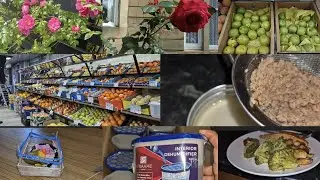Kon Aa Raha hay Glasgow | Fresh organic  coconut oil ||Tiktok Say Aya||Healthy Dinner @aleena.b01