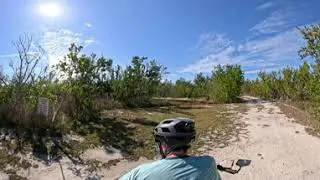 Doc Fords to Sanibel Gardens - MAX 360 - 01/22/26