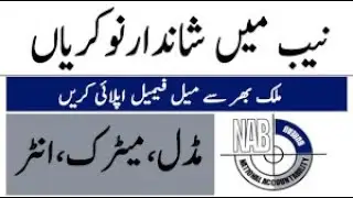 National Accountability Bureau NAB Jobs 2023
