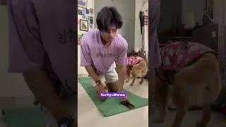 Day-22 Kuku badmosh#plank#pleasesubscribe #dog#fitness #viral #fyp
