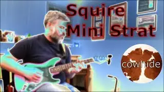 Review : Squire Mini Strat