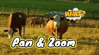 Learn to PAN & ZOOM With Filmora 11