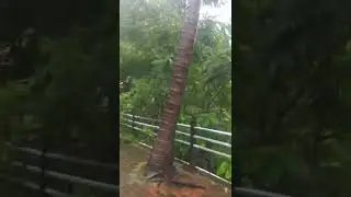 khandeshwer park in Panvel