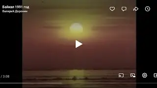 1991