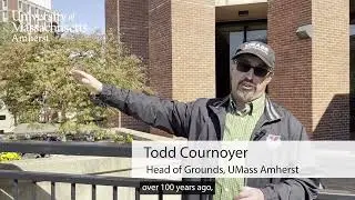 Arbor Day 2023: UMass Champion Trees