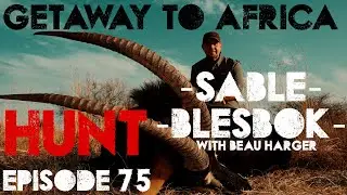 Getaway To Africa &ndash; Episode 75 | Sable Antelope & Blesbok Hunt | African Trophy Pursuit