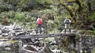 C0081 - Crossing Bridge Over Himalayan Stream