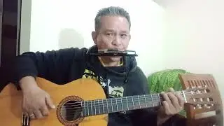 Somewhere Between ..Gene Simmons/Vini Poncia ..cover Harmonica.